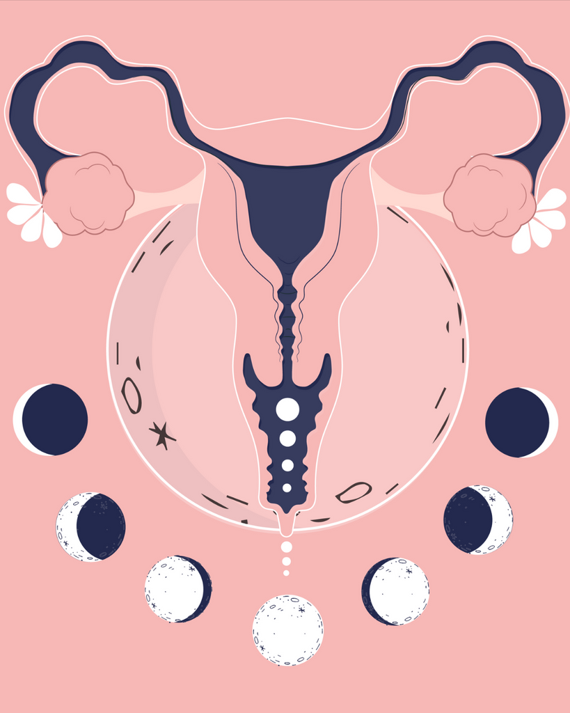 Luna y ciclo menstrual